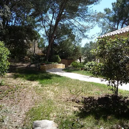 Sous Les Pins De 3*